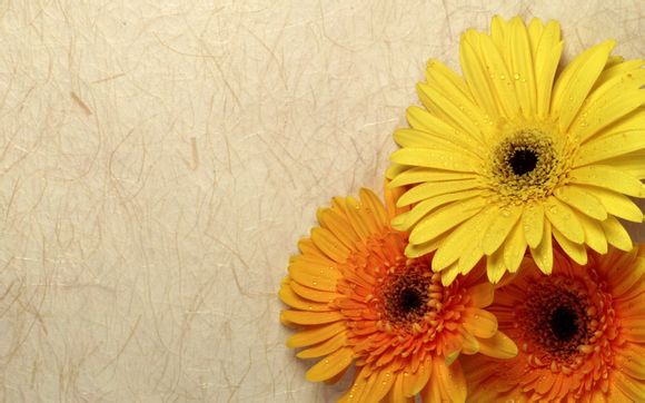 王者荣耀id看哪里